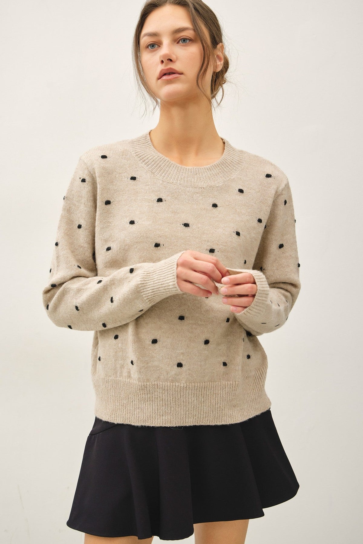 Dotted Embroidery Crewneck Sweater